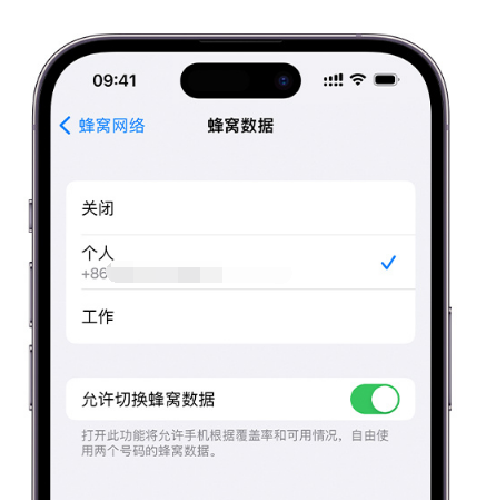 鄂尔多斯苹果维修服务分享如何在iPhone上使用双卡 